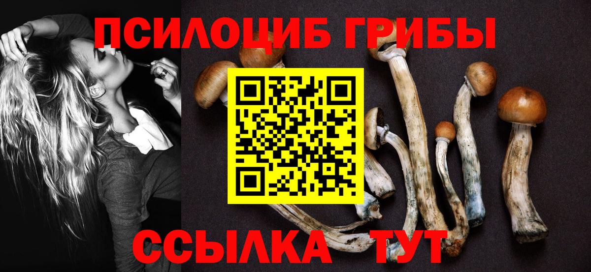 наркота  Вход с VPN  Славянск-на-Кубани  Галлюциногенные грибы ЛСД 